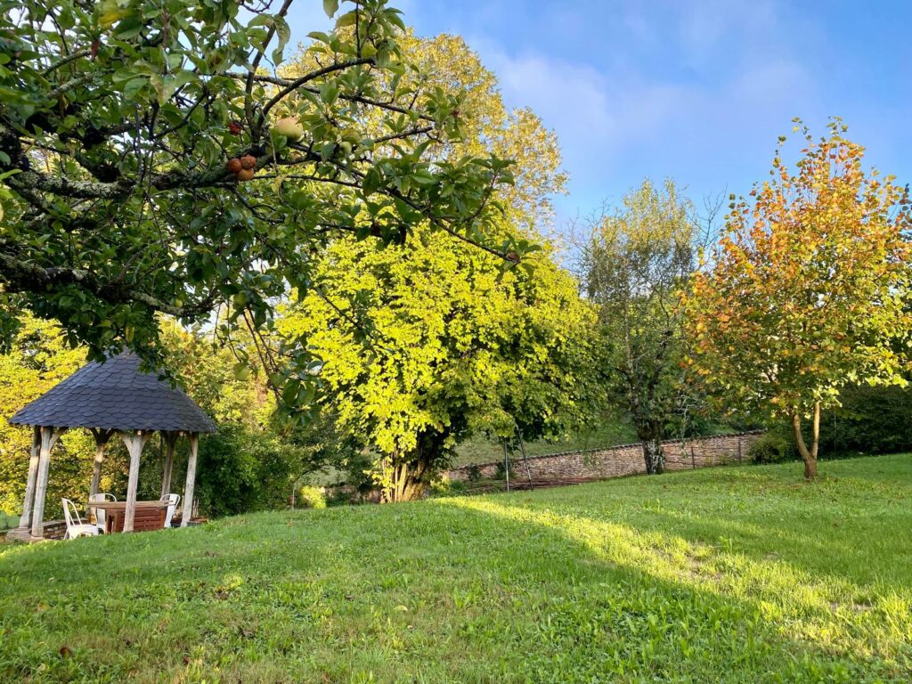 photo 2024 09 12 11 01 45