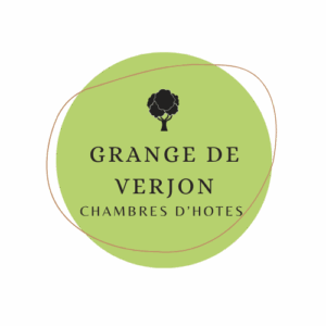 logo verjon